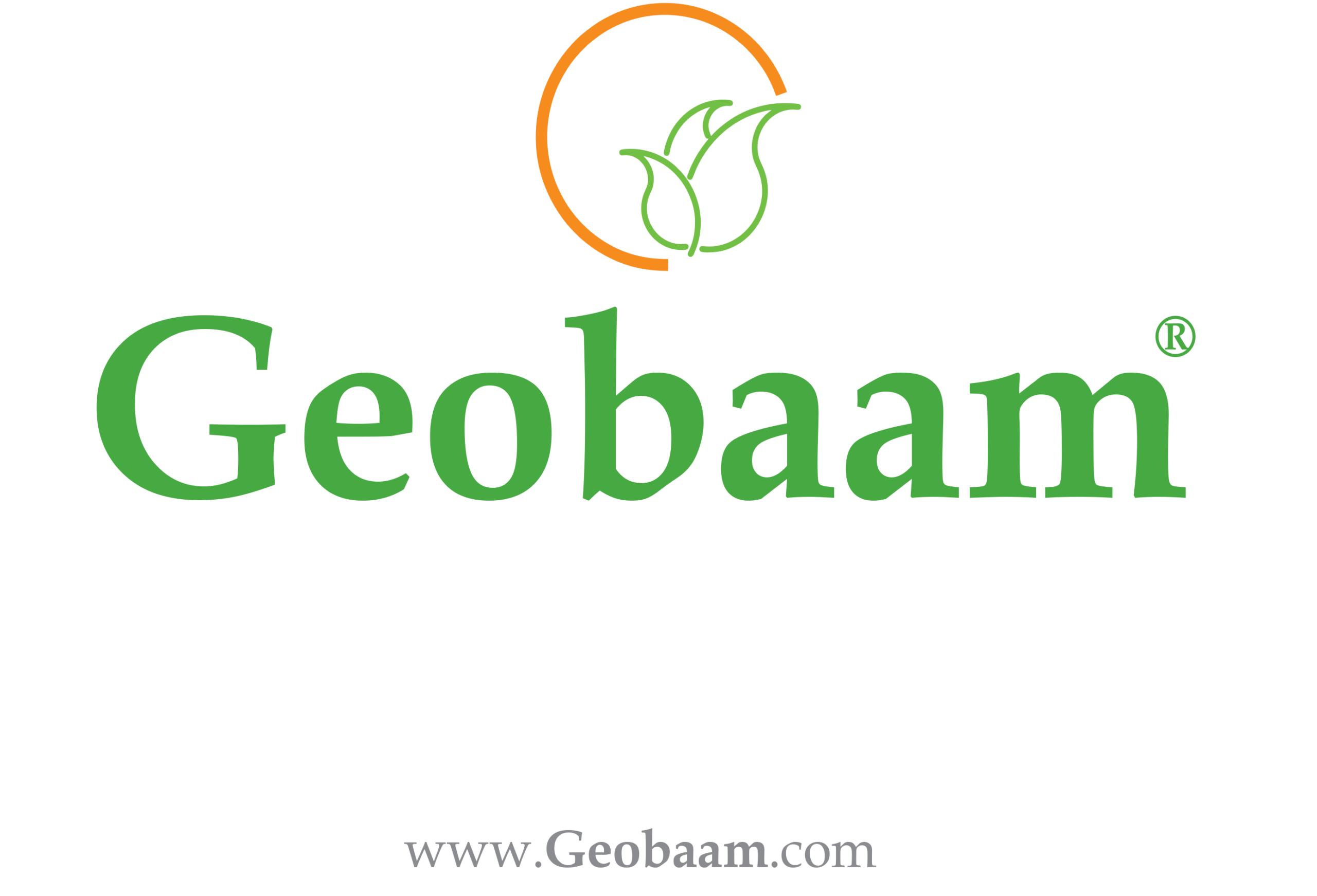 Geobaam