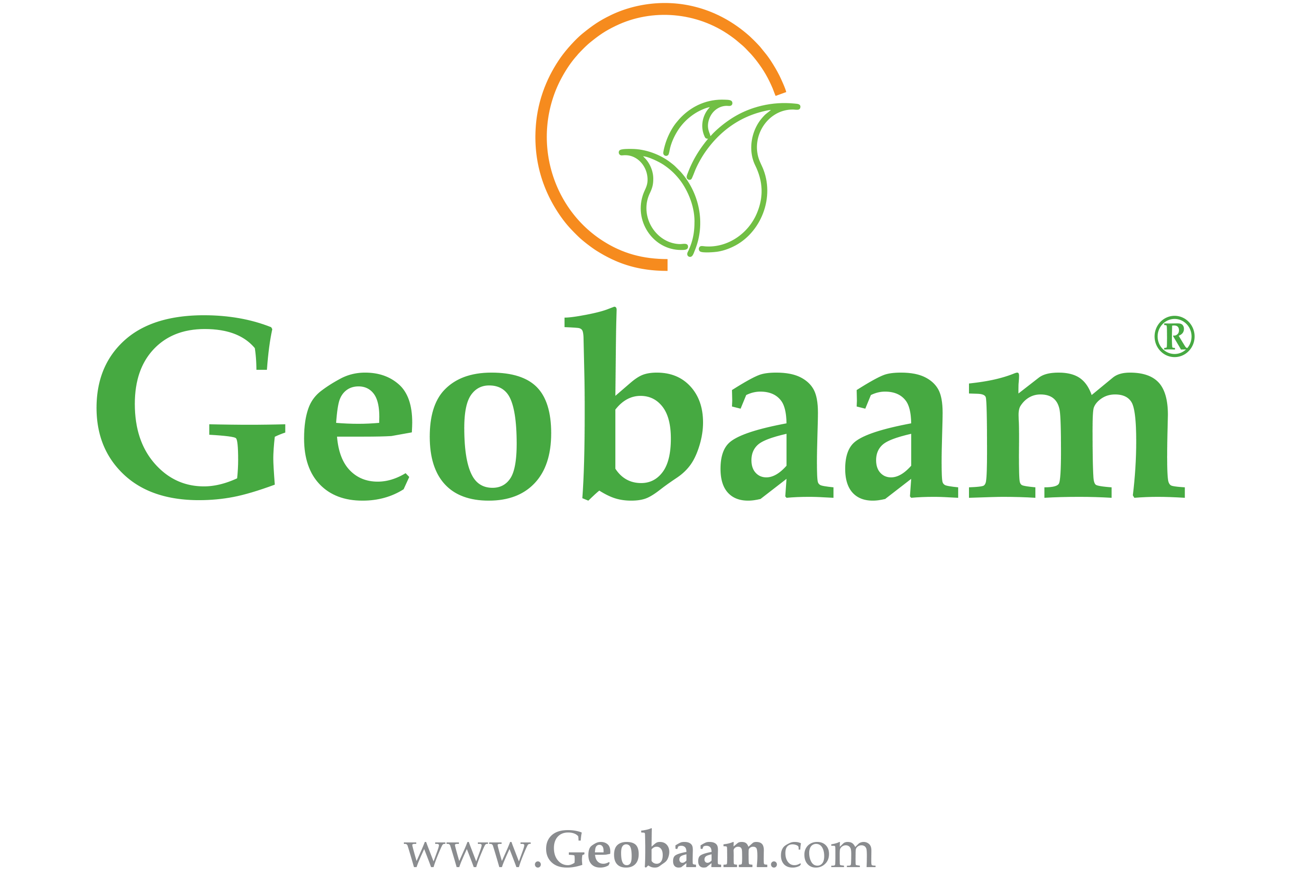 Geobaam